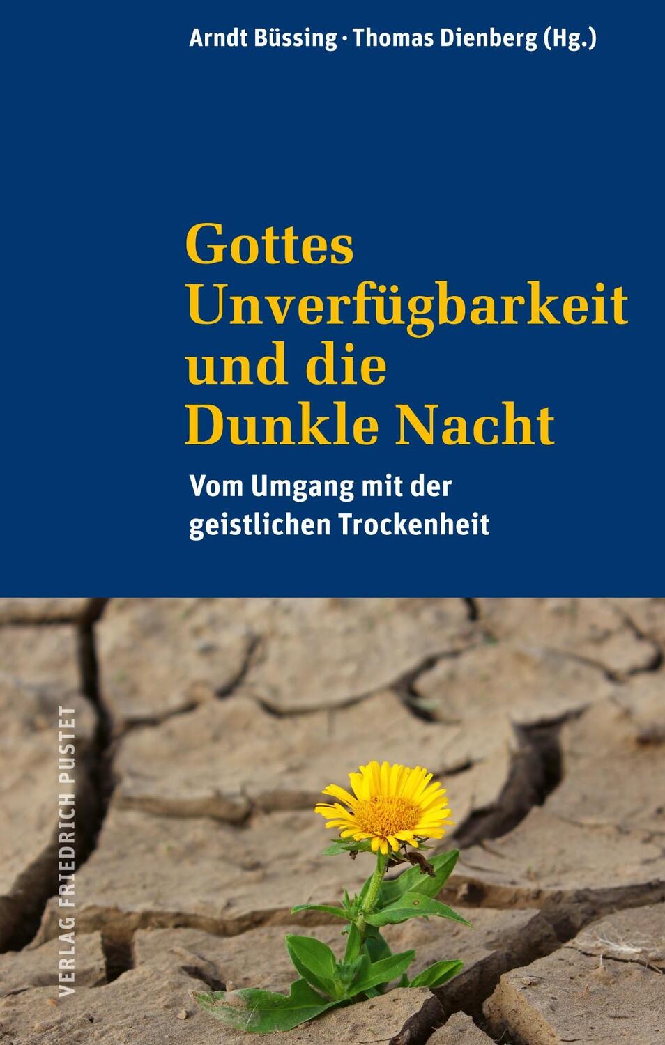 Cover: 9783791733234 | Gottes Unverfügbarkeit und die Dunkle Nacht | Arndt Büssing (u. a.)