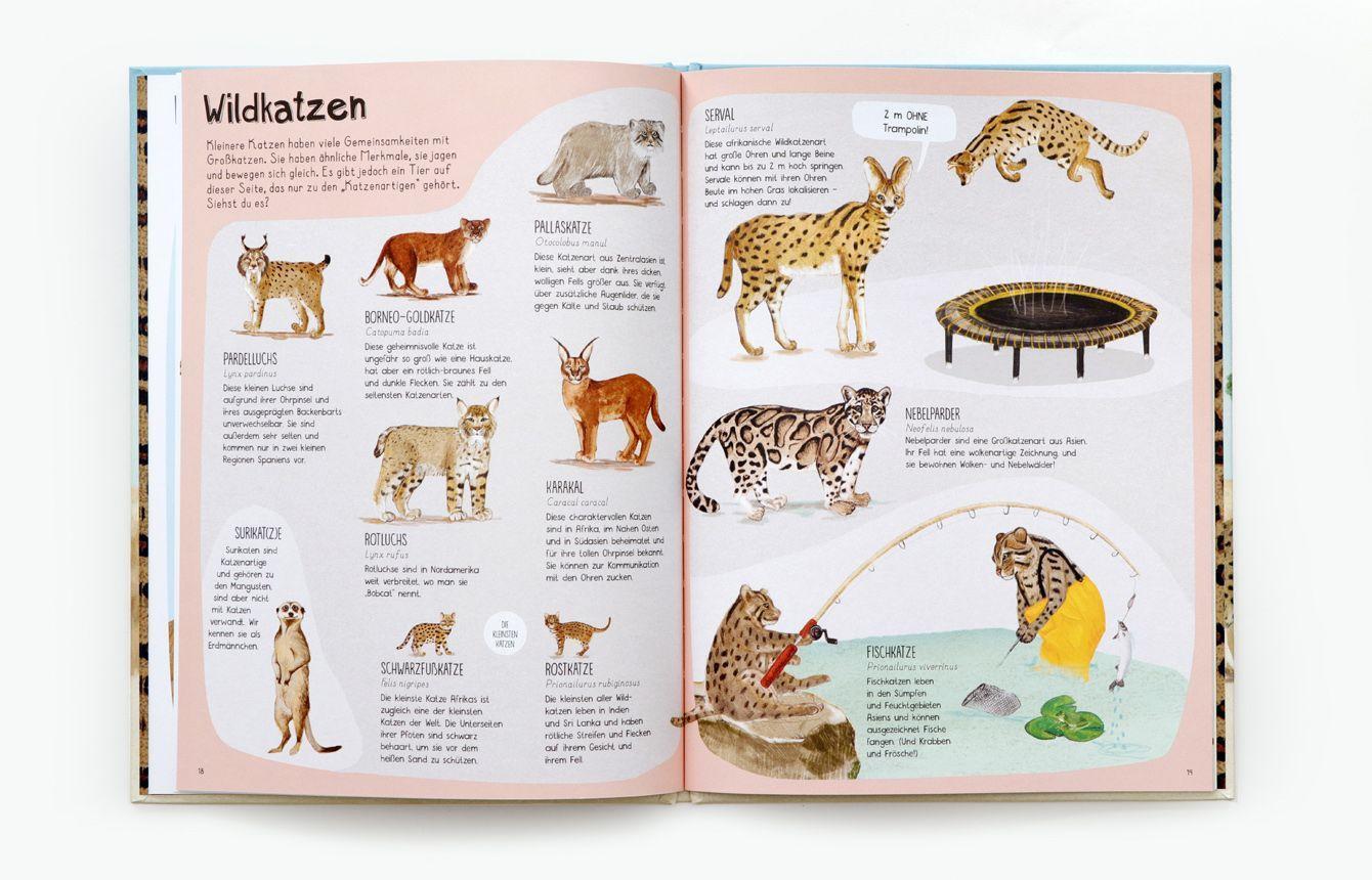 Bild: 9783962442071 | Das Katzen-Buch | Zu Besuch bei Katzen aus aller Welt | Katie Viggers