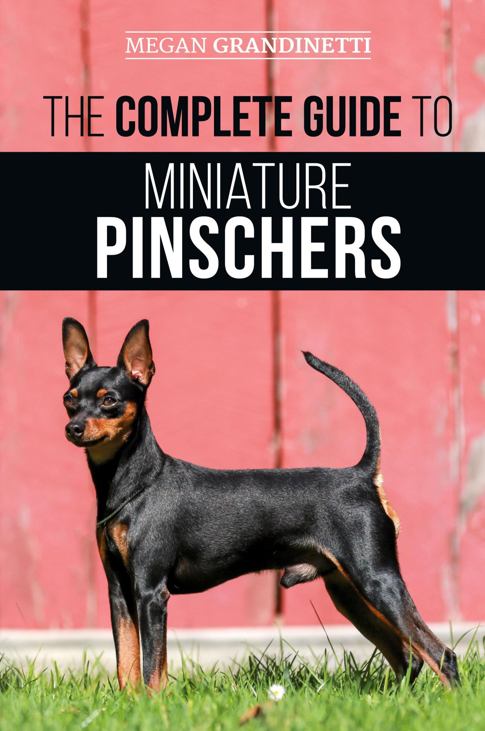 Cover: 9781952069987 | The Complete Guide to Miniature Pinschers | Megan Grandinetti | Buch