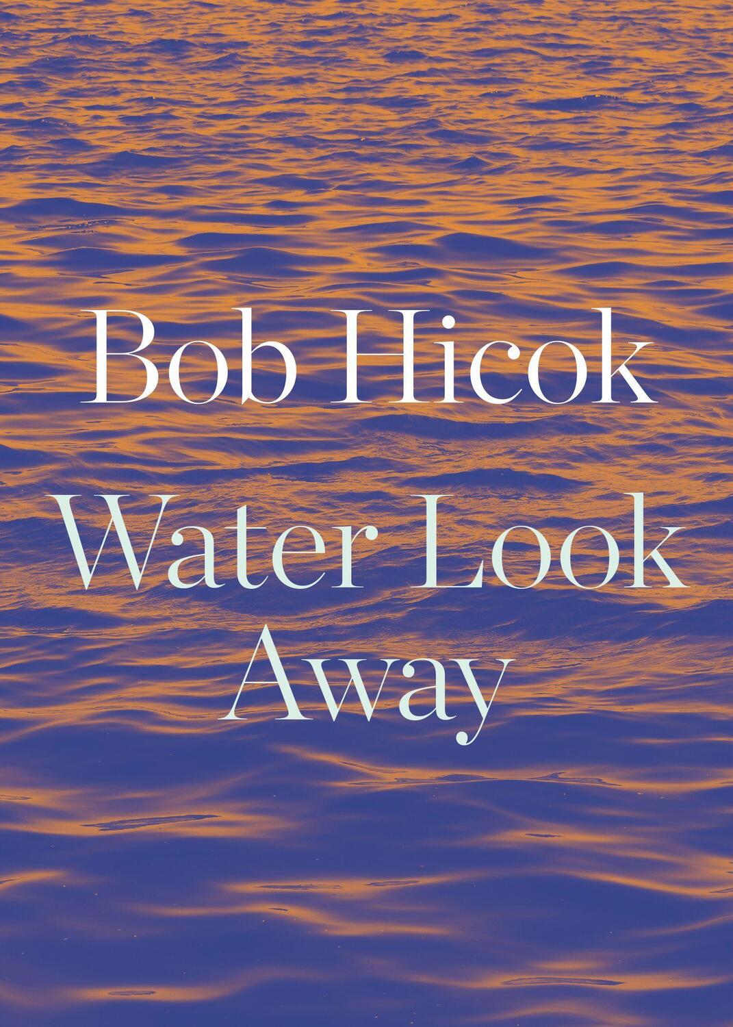 Cover: 9781556596506 | Water Look Away | Bob Hicok | Taschenbuch | Kartoniert / Broschiert