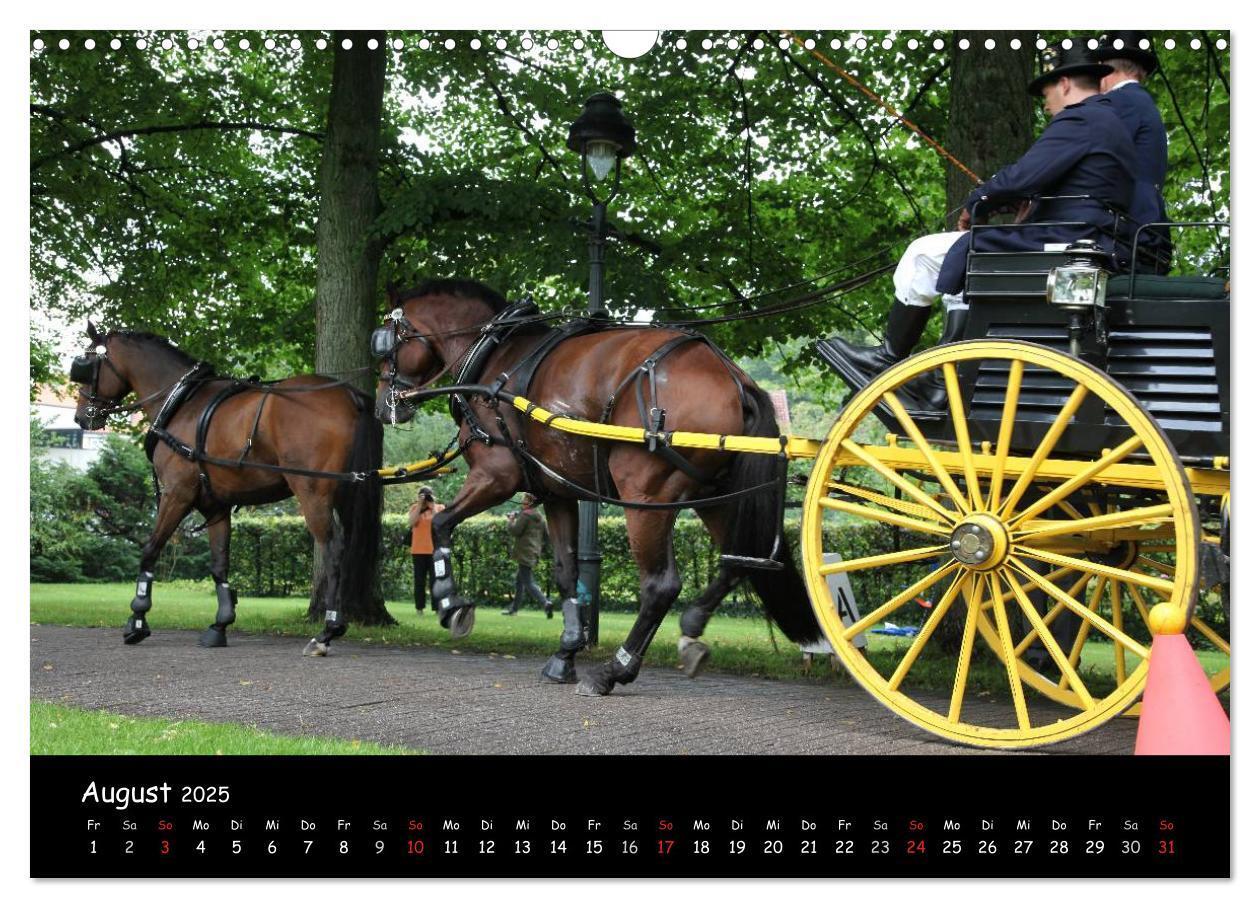 Bild: 9783435553457 | CIAT - Historischer Fahrsport in Celle (Wandkalender 2025 DIN A3...