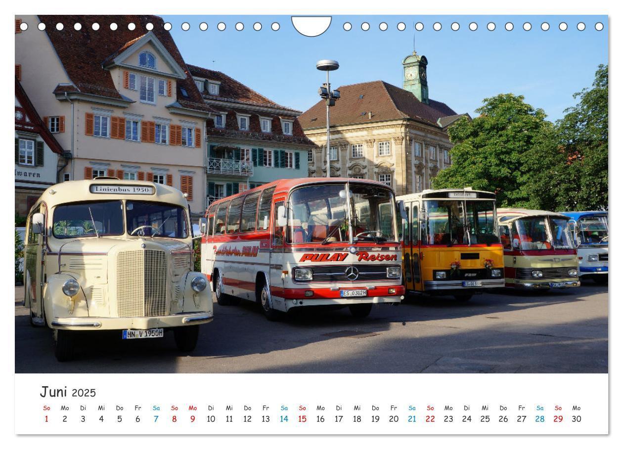 Bild: 9783435095001 | Omnibusse von heute und früher (Wandkalender 2025 DIN A4 quer),...