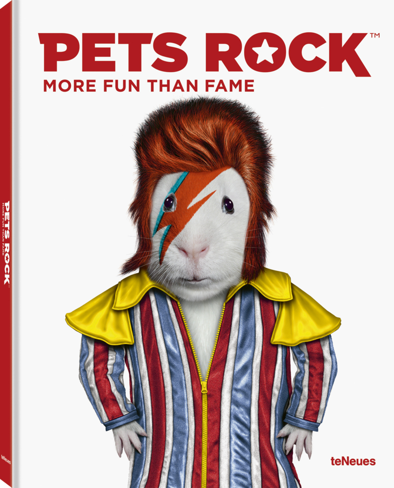 Cover: 9783961712489 | Pets Rock | More Fun Than Fame, Dt/engl/frz | Caitlin Takkoda/Leffel