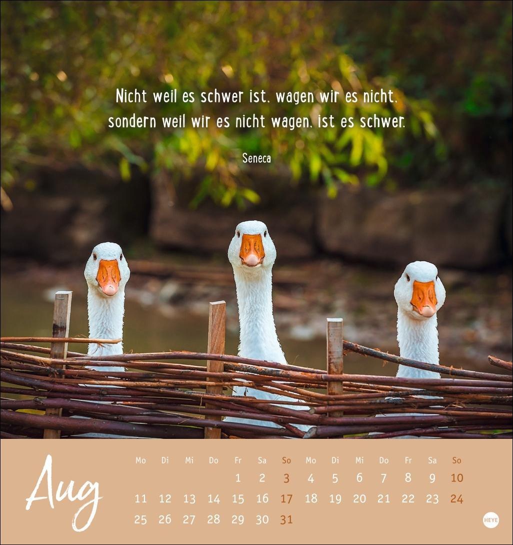 Bild: 9783756407132 | Never give up! Postkartenkalender 2025 | Heye | Kalender | 13 S.