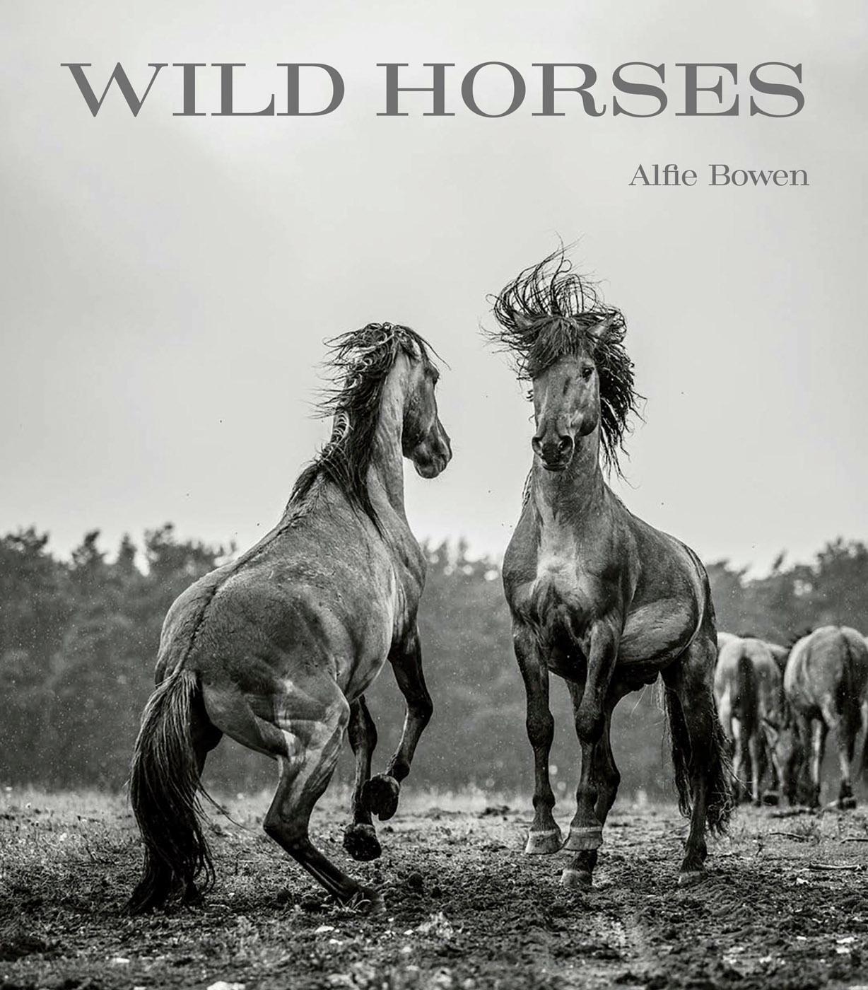 Cover: 9781788842624 | Wild Horses | Alfie Bowen | Buch | 208 S. | Englisch | 2024