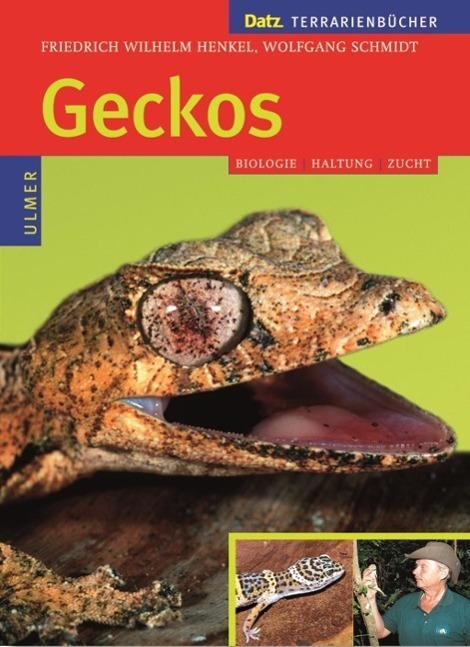 Cover: 9783800138548 | Geckos | Biologie, Haltung und Zucht | Henkel (u. a.) | Buch | Deutsch