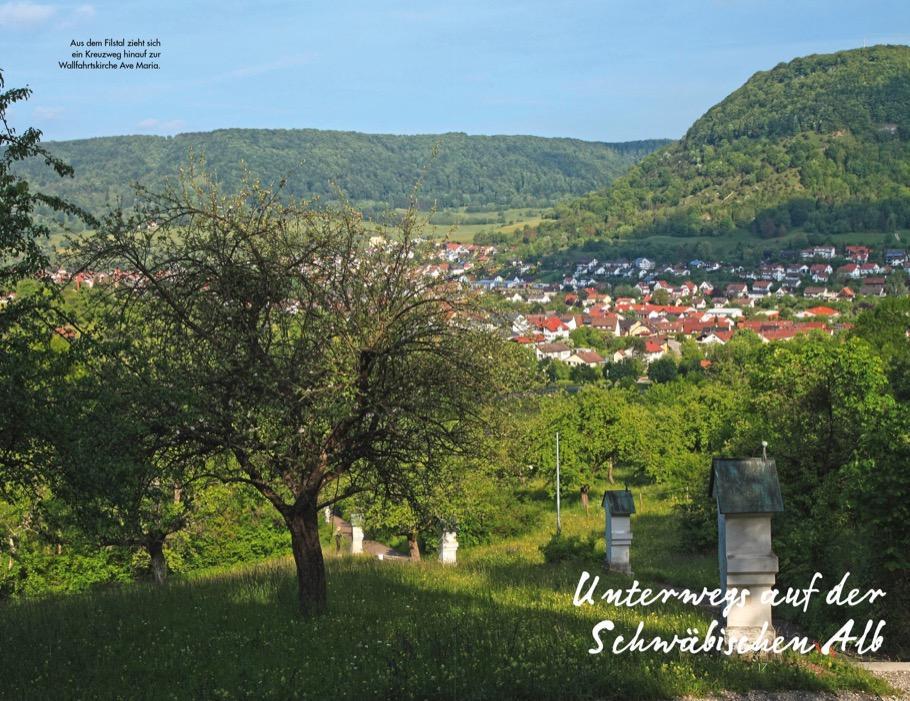 Bild: 9783862467563 | Leichte Wanderungen Schwäbische Alb | Dieter Buck | Taschenbuch | 2021