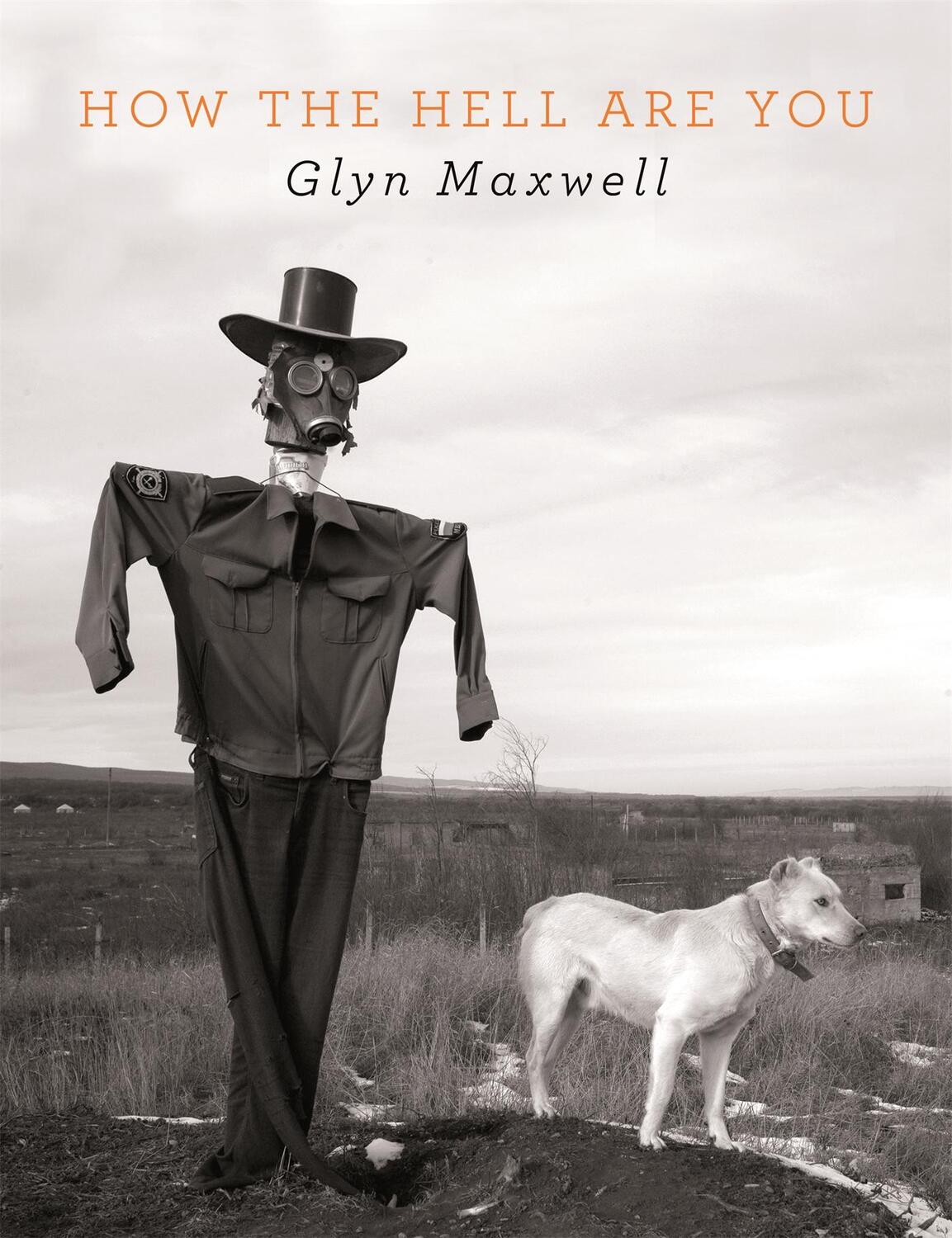 Cover: 9781529037739 | How The Hell Are You | Glyn Maxwell | Taschenbuch | Englisch | 2020