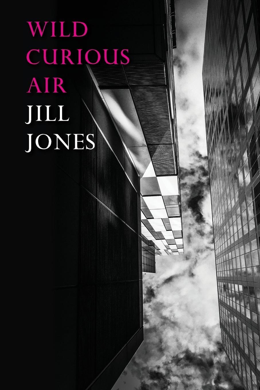 Cover: 9780648834342 | Wild Curious Air | Jill Jones | Taschenbuch | Paperback | Englisch