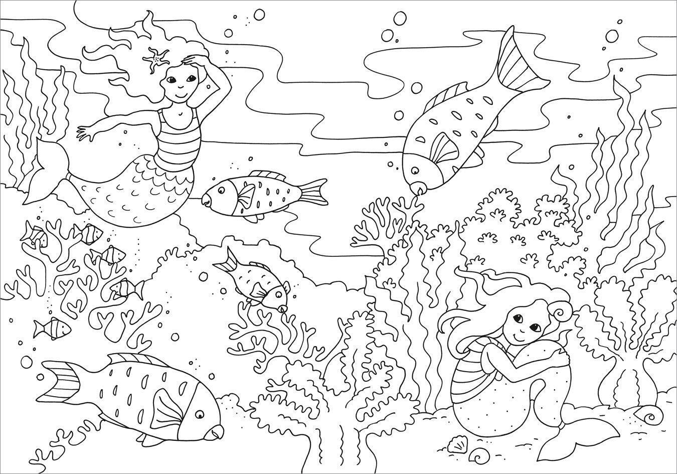 Bild: 9783788641825 | Mein schönstes Malbuch. Meerjungfrauen. Malen für Kinder ab 5 Jahren