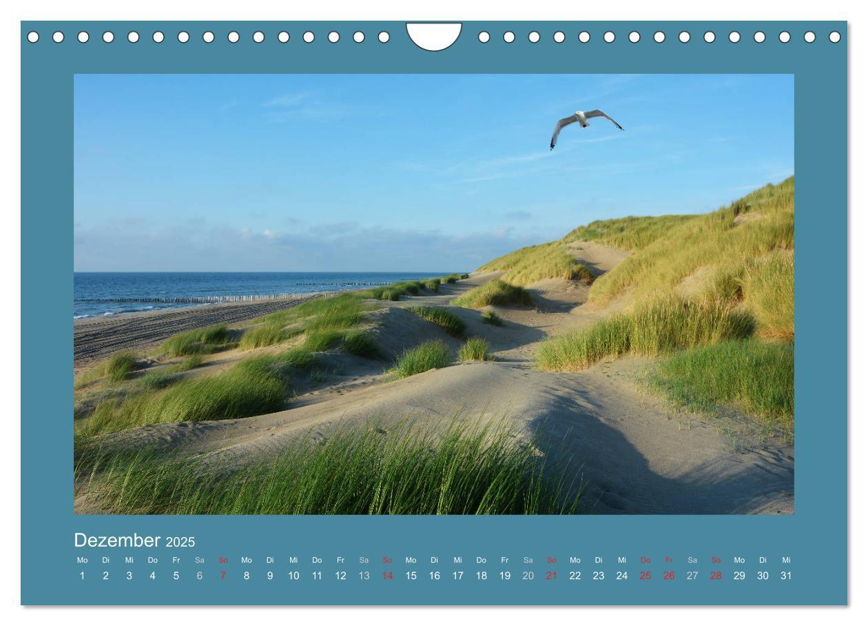 Bild: 9783435276707 | Sanddünen an der Nordsee in den Niederlanden (Wandkalender 2025 DIN...