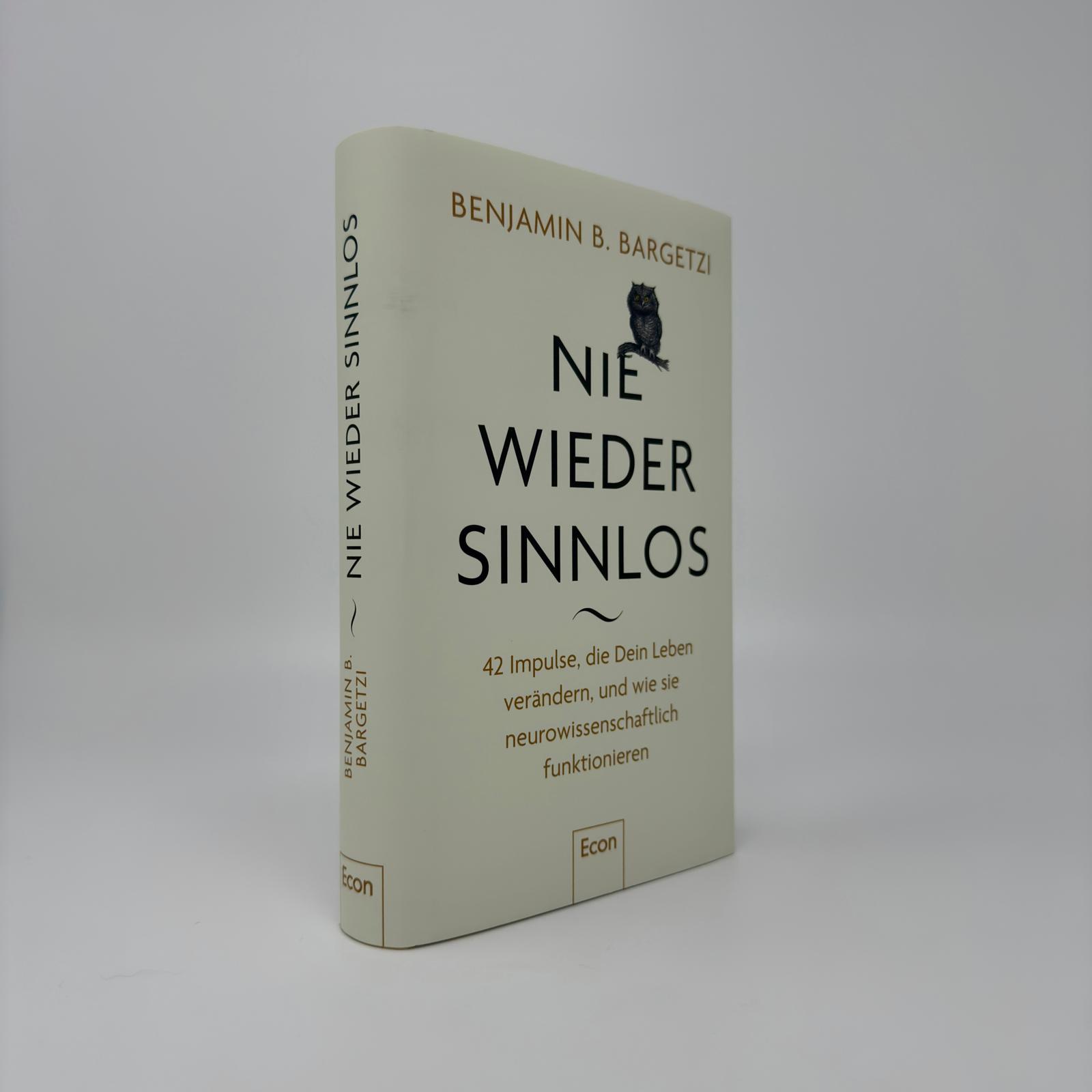 Bild: 9783430212052 | Nie wieder sinnlos | Benjamin B. Bargetzi | Buch | 336 S. | Deutsch