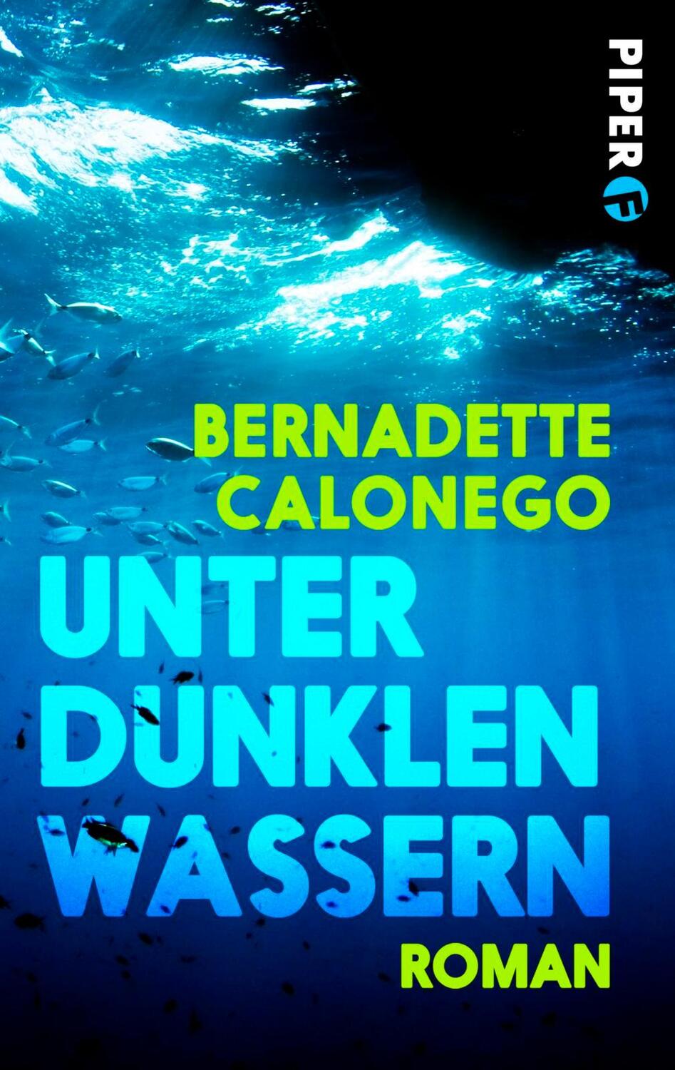Cover: 9783492500432 | Unter dunklen Wassern | Bernadette Calonego | Taschenbuch | 384 S.