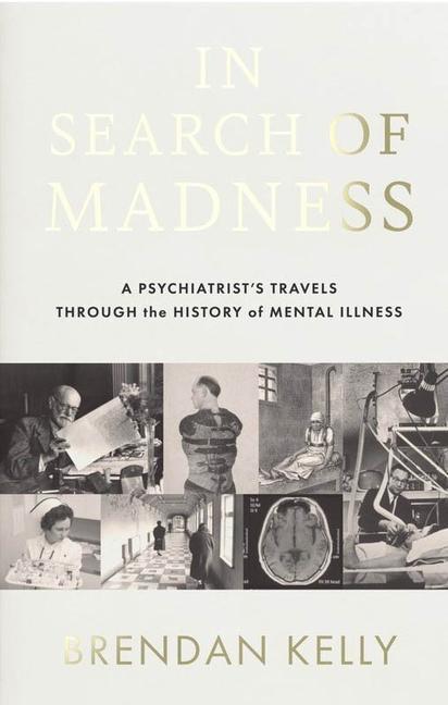 Cover: 9780717193783 | In Search of Madness | Brendan Kelly | Taschenbuch | Englisch | 2022