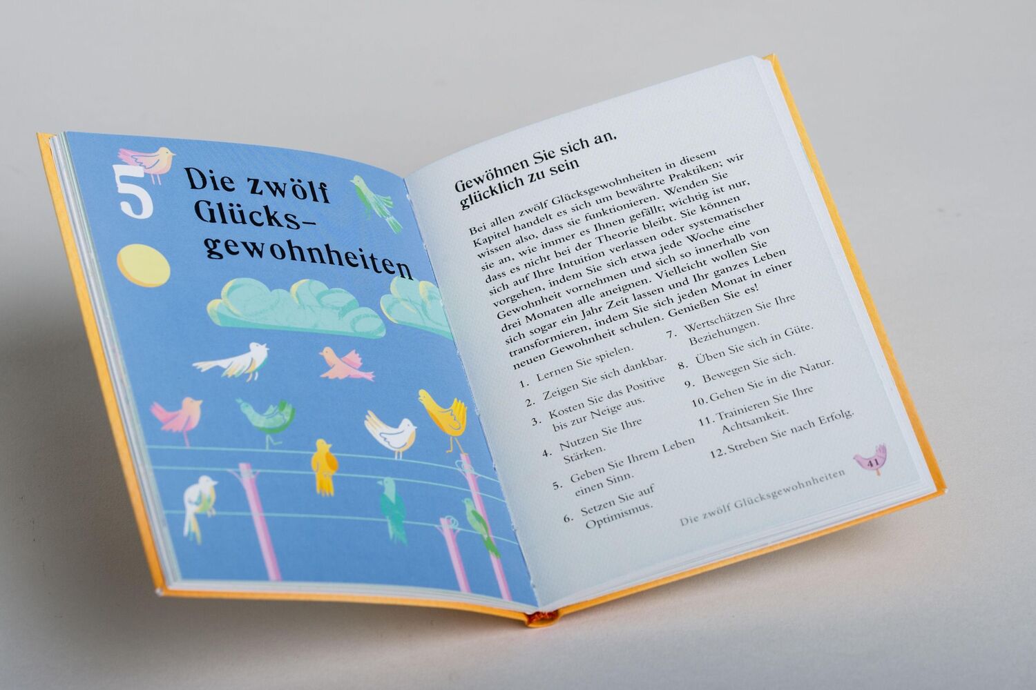 Bild: 9783453703827 | Das kleine Buch zum Glücklichsein | Miriam Akhtar | Taschenbuch | 2019