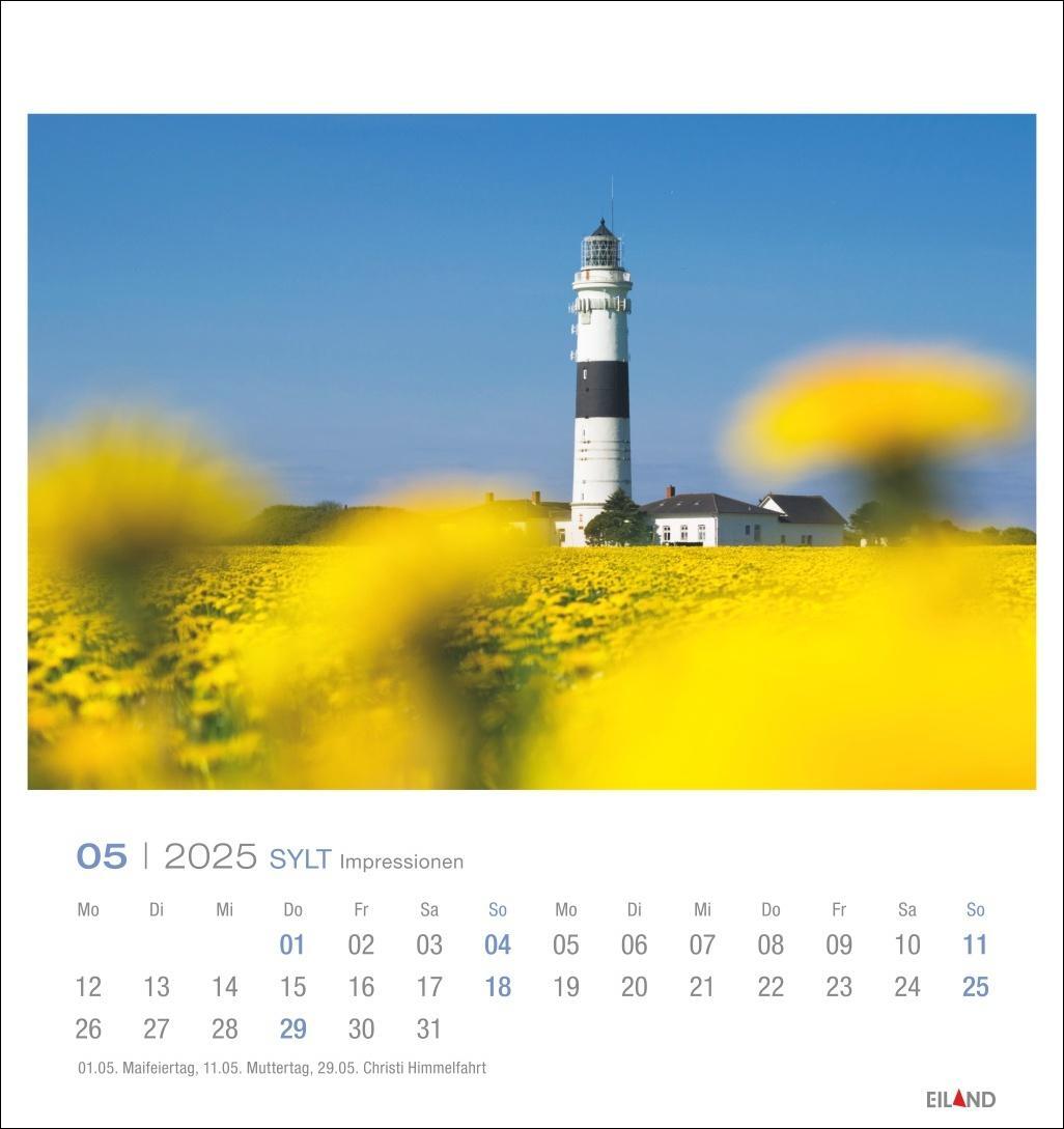 Bild: 9783964023353 | Sylt Impressionen Postkartenkalender 2025 | Hans Jessel | Kalender