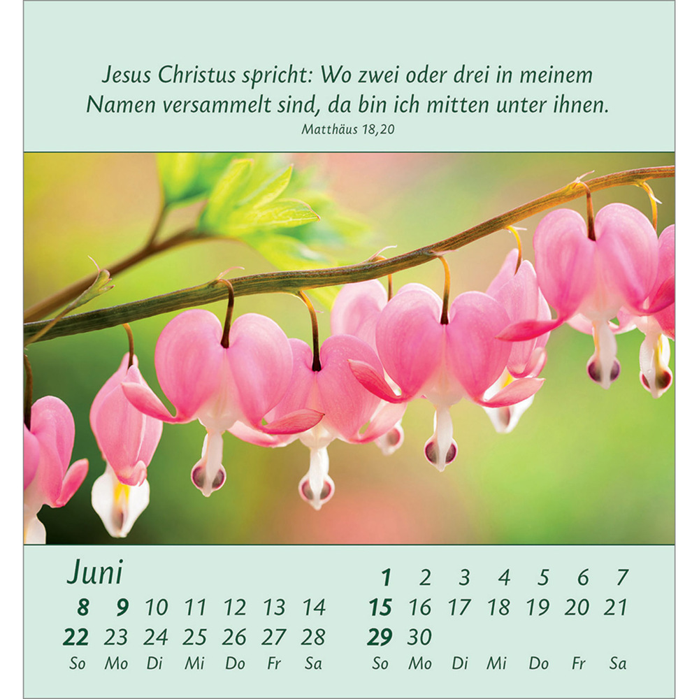 Bild: 9783754847053 | Kleine Blumengrüße 2025 | Kalender | Spiralbindung. Spiralbindung