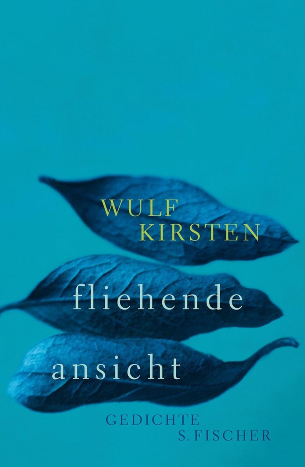Cover: 9783100921253 | fliehende ansicht | Gedichte | Wulf Kirsten | Buch | 80 S. | Deutsch