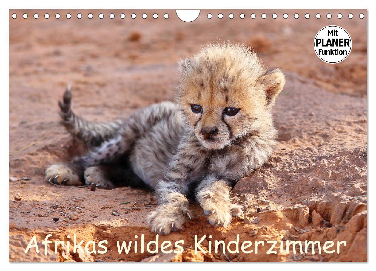Cover: 9783675833968 | Afrikas wildes Kinderzimmer (Wandkalender 2024 DIN A4 quer),...
