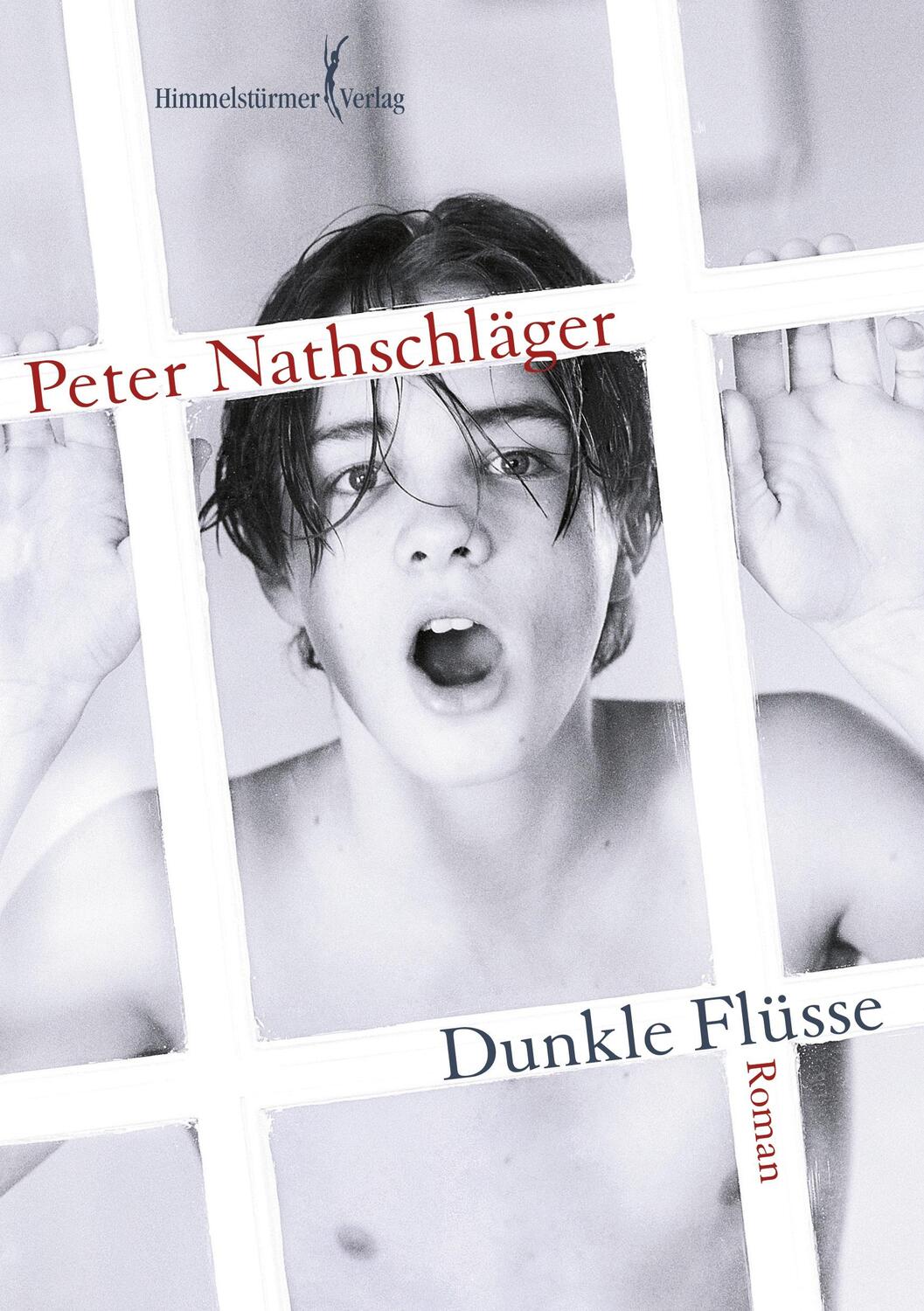 Cover: 9783934825437 | Dunkle Flüsse | Roman | Peter Nathschläger | Taschenbuch