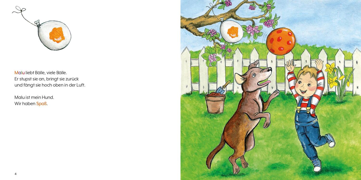 Bild: 9783960745853 | Malu und der Luftballon - Wenn der eigene Hund stirbt | Grünig | Buch