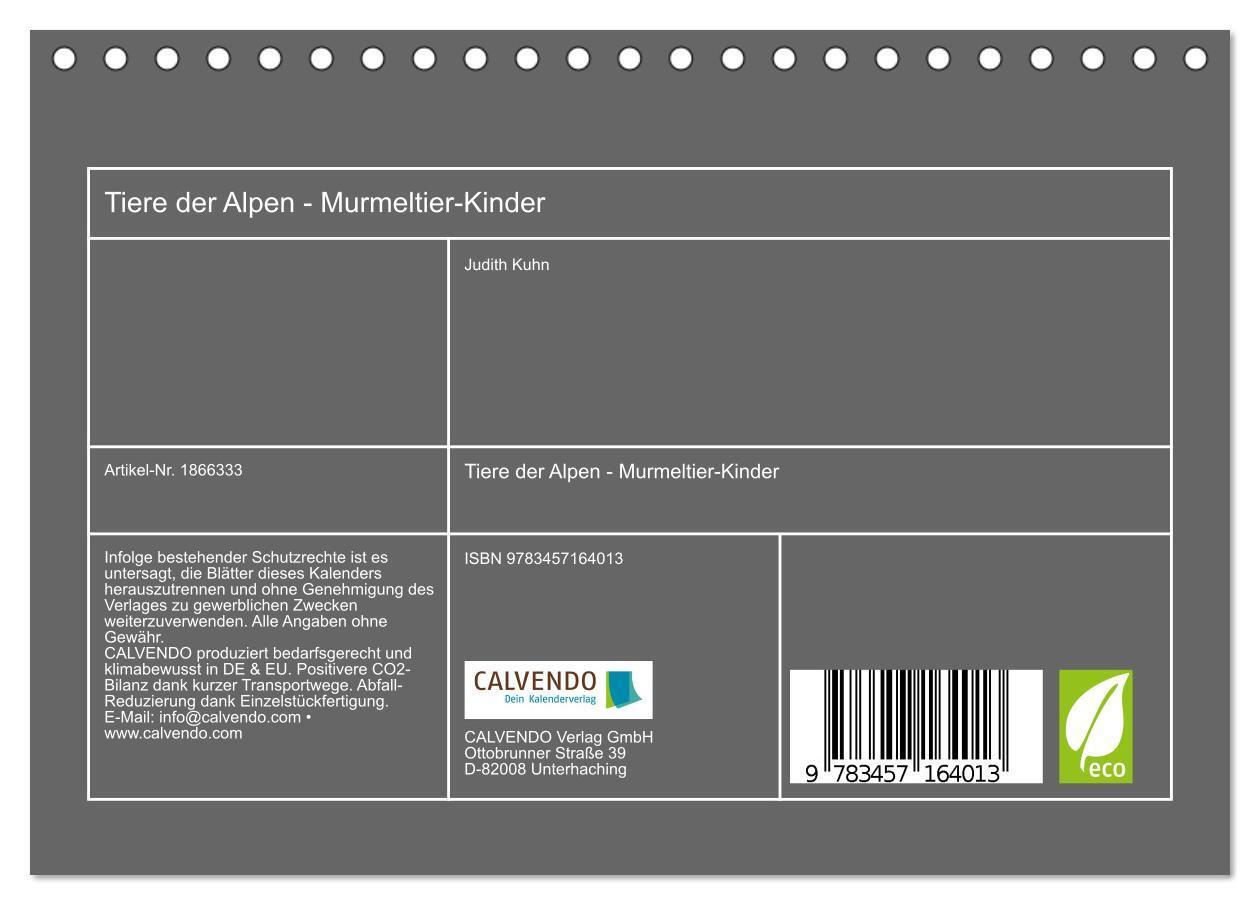 Bild: 9783457164013 | Tiere der Alpen - Murmeltier-Kinder (Tischkalender 2025 DIN A5...