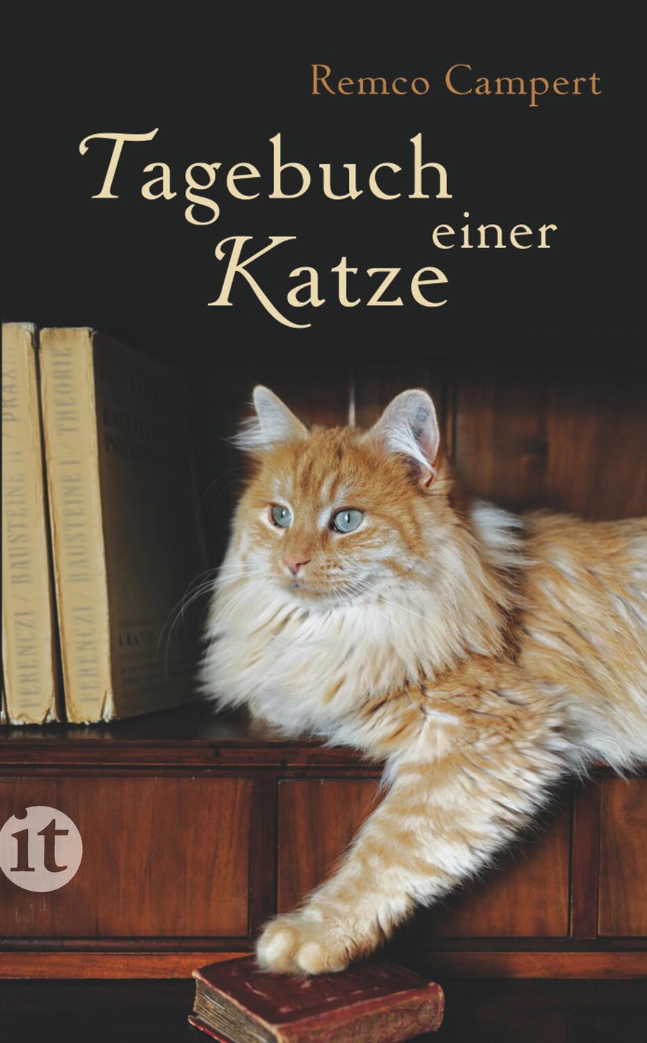Cover: 9783458359449 | Tagebuch einer Katze | Remco Campert | Taschenbuch | Deutsch | 2013