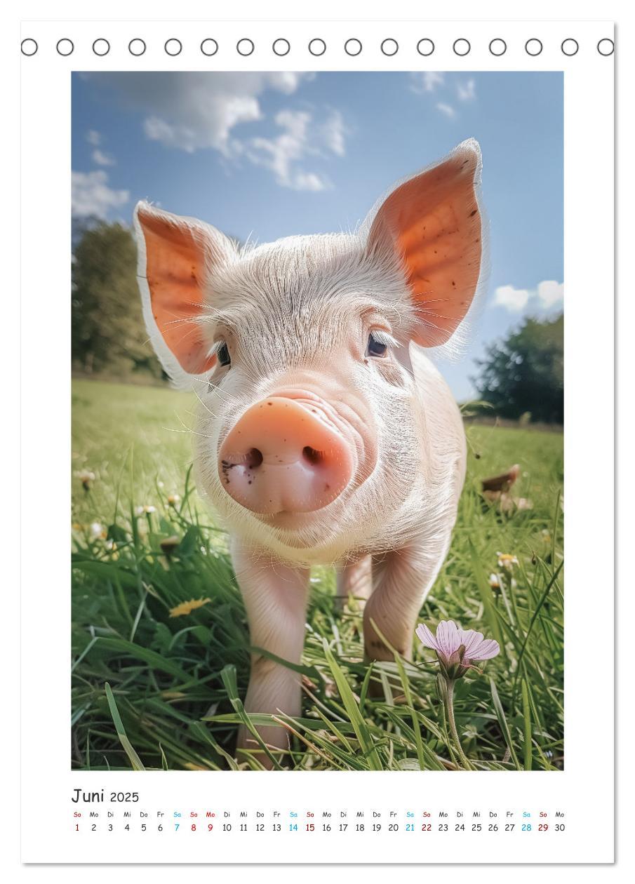 Bild: 9783457160558 | Schwein gehabt (Tischkalender 2025 DIN A5 hoch), CALVENDO...