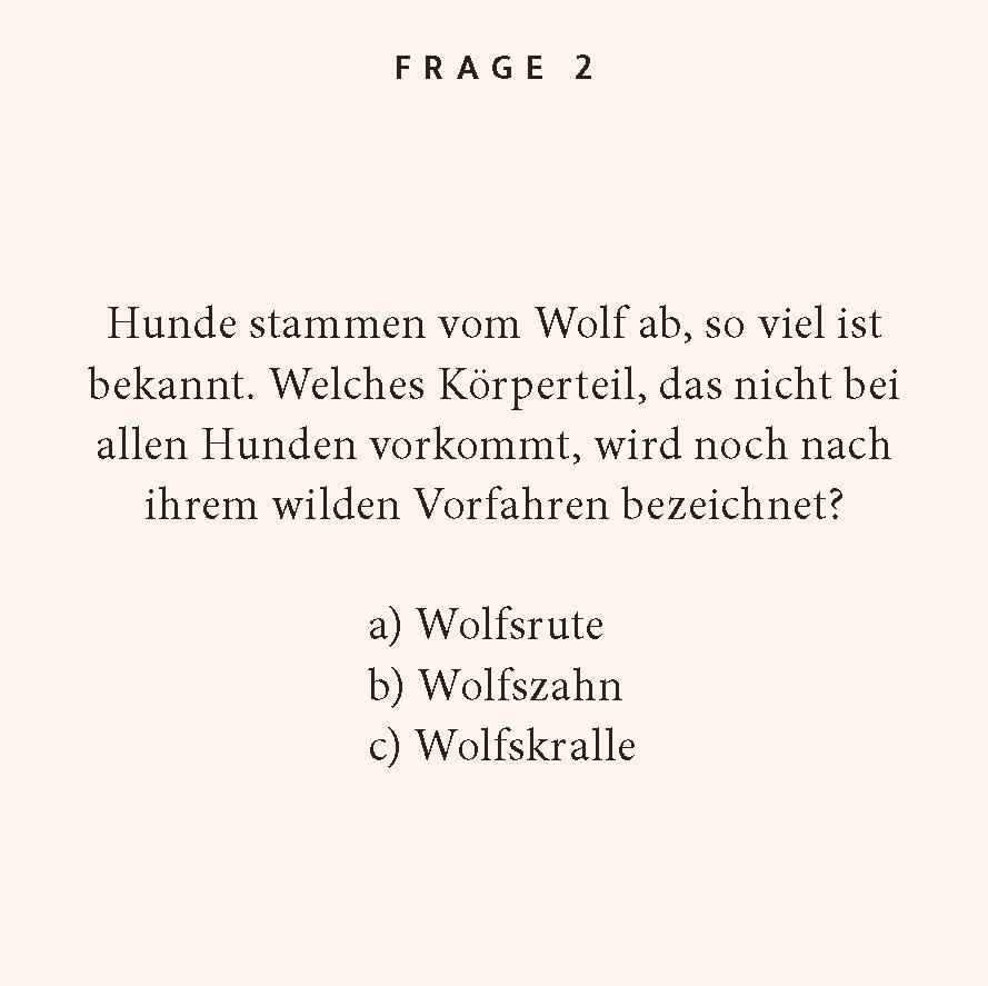 Bild: 9783899784428 | Hunde-Quiz | 100 Fragen und Antworten | Leonie Bothe | Taschenbuch