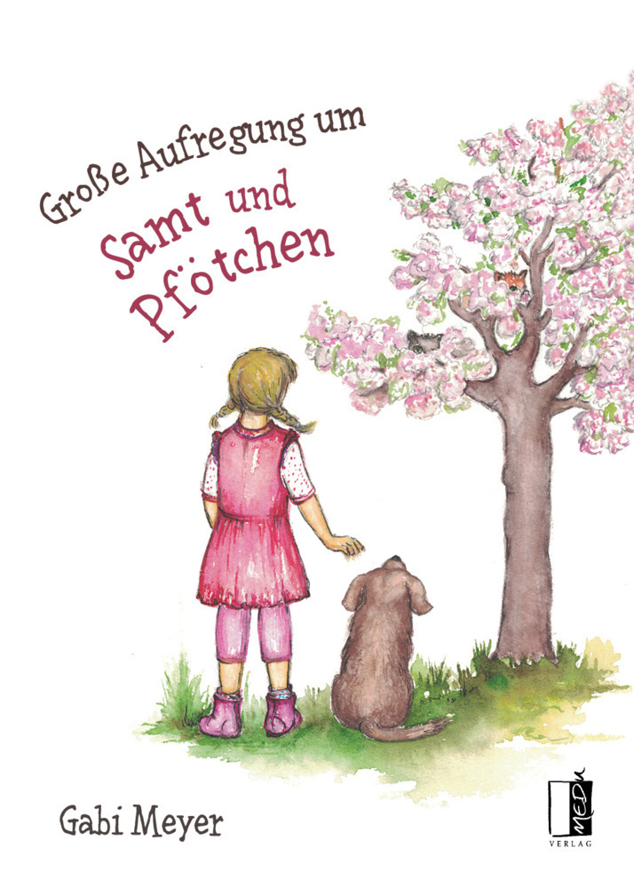 Cover: 9783963520525 | Große Aufregung um Samt und Pfötchen | Gabi Meyer | Buch | Deutsch