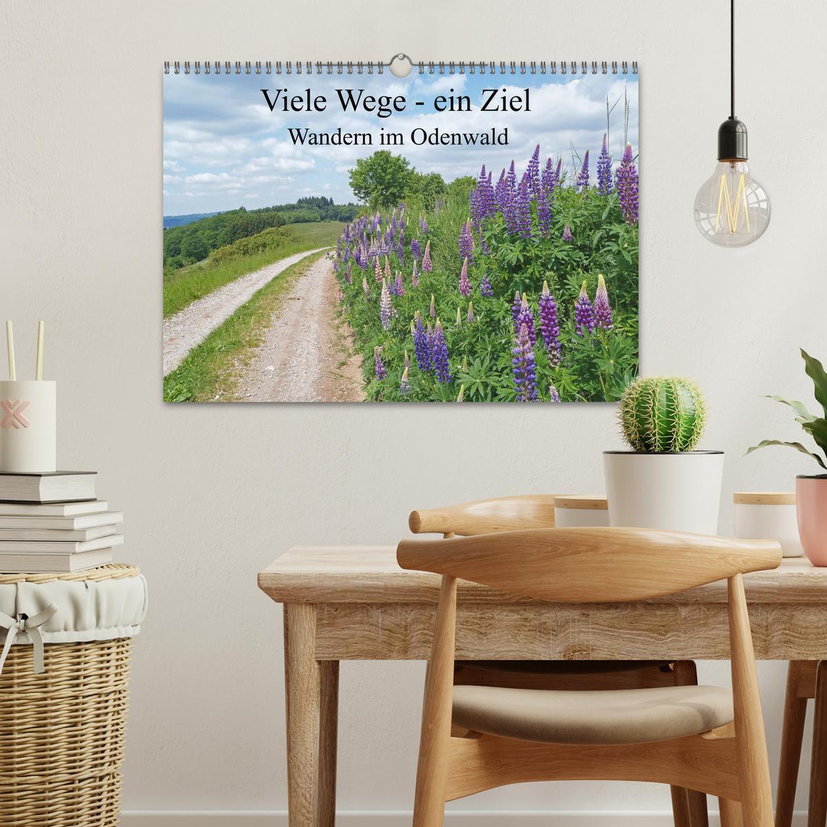 Bild: 9783435222315 | Viele Wege - ein Ziel Wandern im Odenwald (Wandkalender 2025 DIN A3...