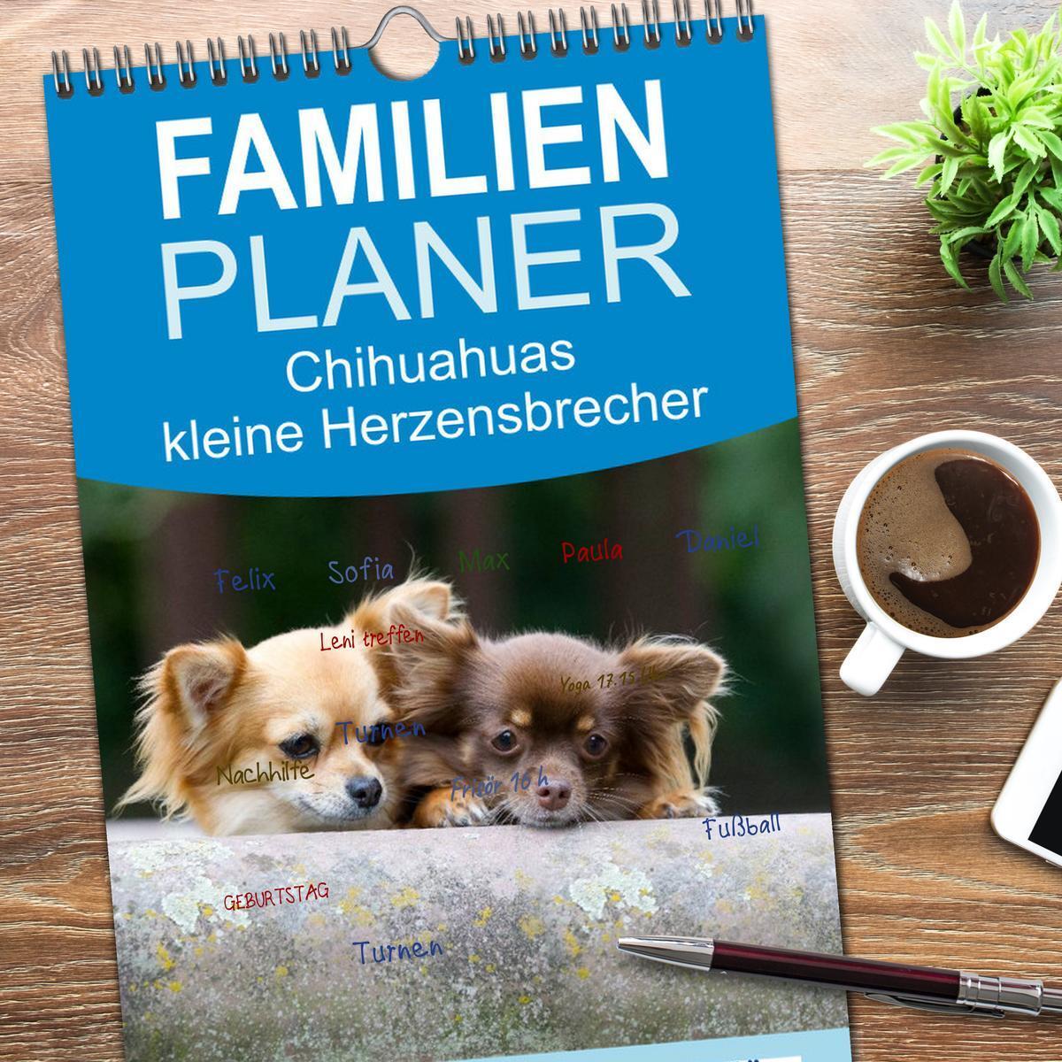 Bild: 9783457118474 | Familienplaner 2025 - Chihuahuas - kleine Herzensbrecher mit 5...