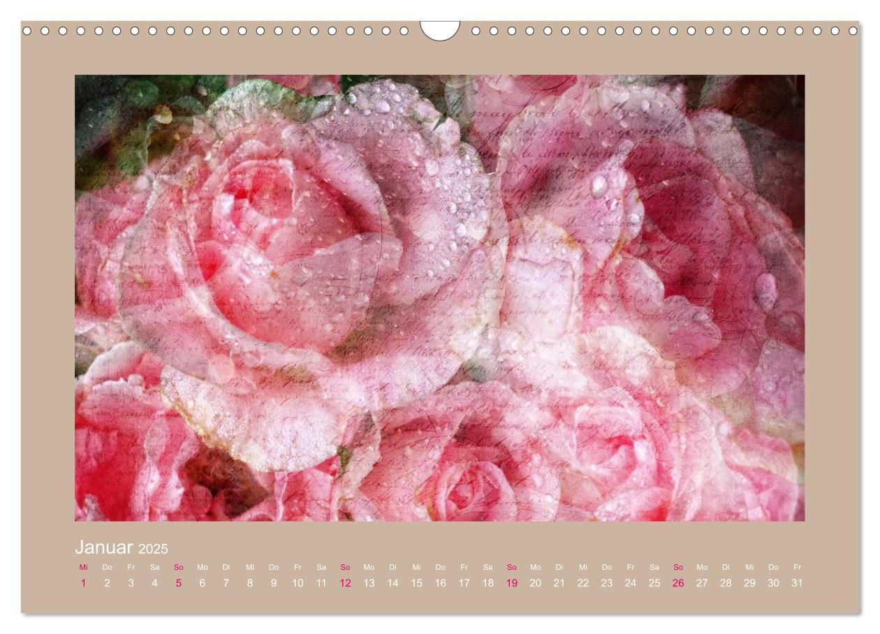 Bild: 9783435737130 | Romantische Rosen (Wandkalender 2025 DIN A3 quer), CALVENDO...