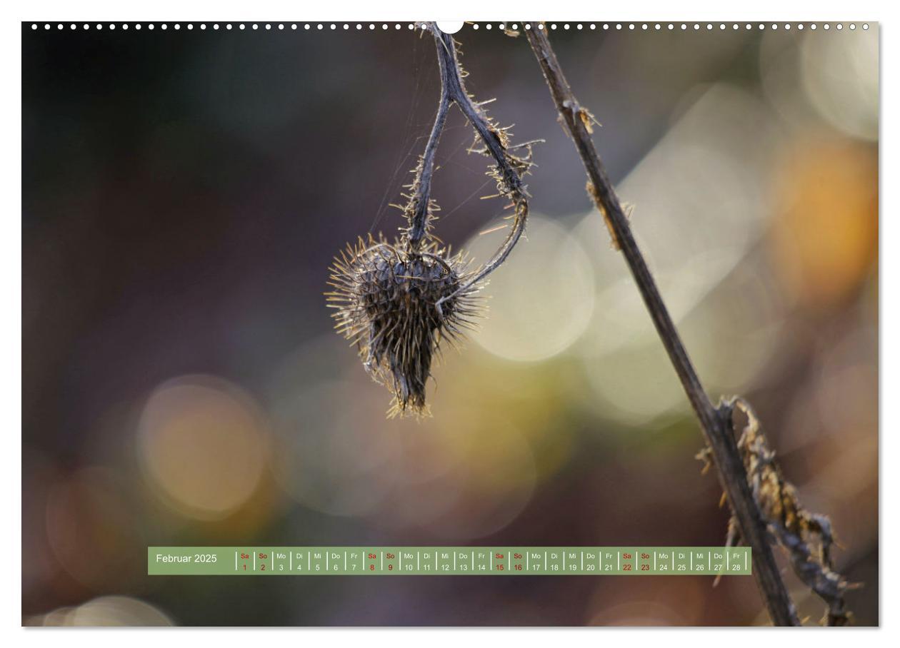 Bild: 9783383893599 | Zauber des Lichts (Wandkalender 2025 DIN A2 quer), CALVENDO...