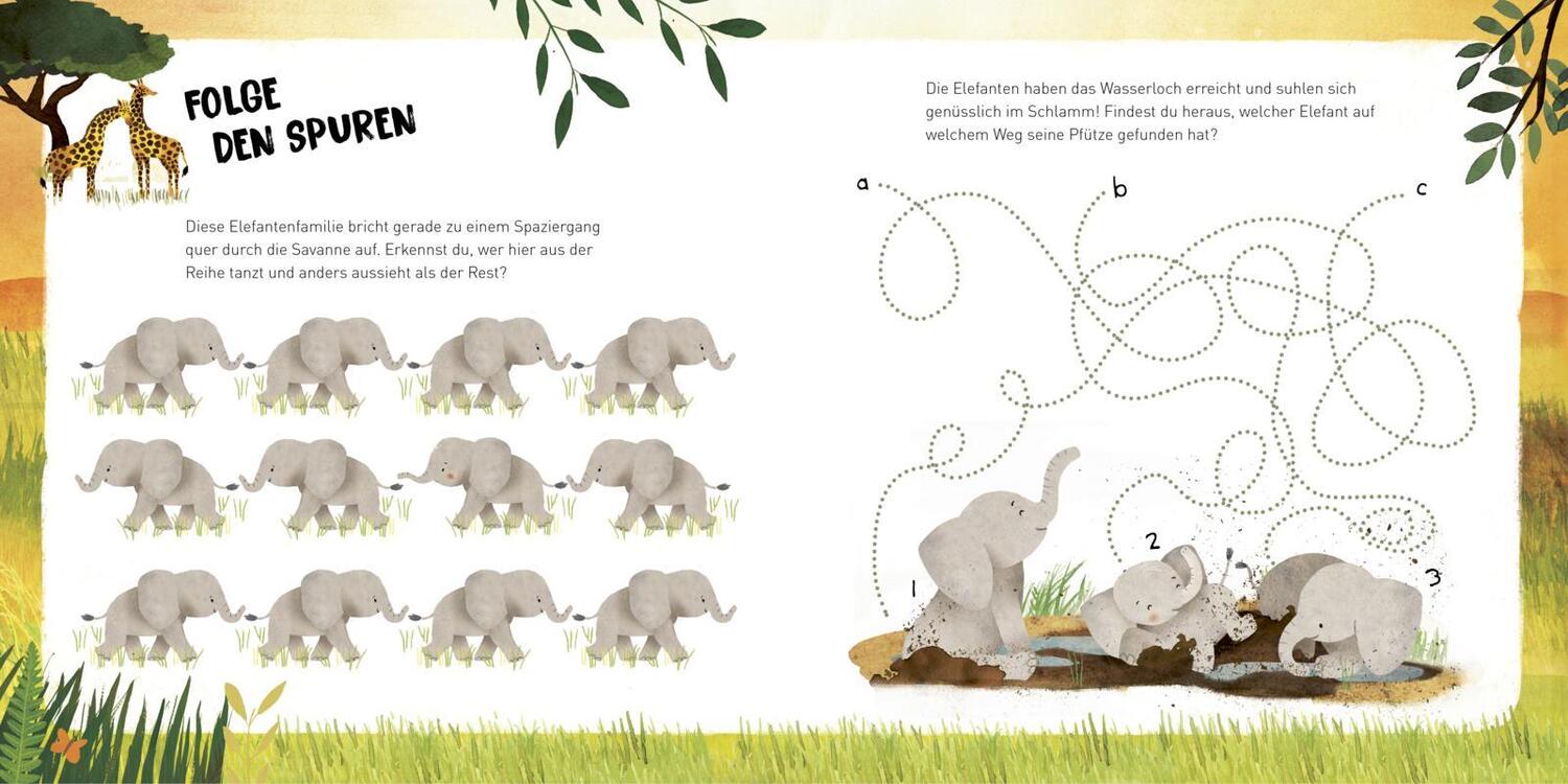Bild: 9783551254979 | Kleine Tiere werden groß - Der Elefant | Anna Brett | Buch | Deutsch
