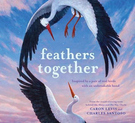 Cover: 9781419754586 | Feathers Together | Caron Levis | Buch | Feeling Friends | Gebunden