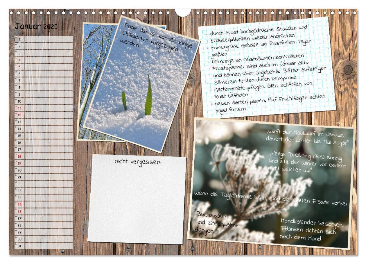 Bild: 9783435132522 | Was ist noch im Garten zu tun? (Wandkalender 2025 DIN A3 quer),...