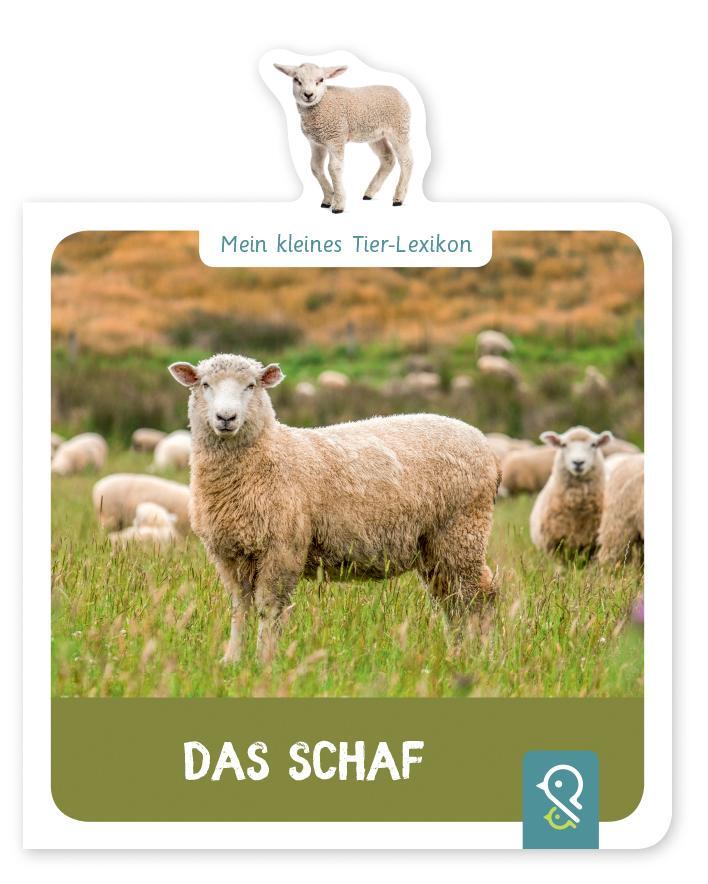 Cover: 9783946360377 | Mein kleines Tier-Lexikon - Das Schaf | Mein kleines Tier-Lexikon