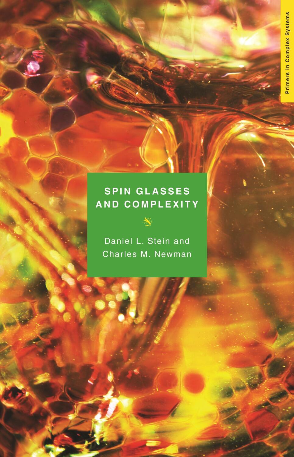 Cover: 9780691147338 | Spin Glasses and Complexity | Daniel L Stein (u. a.) | Taschenbuch