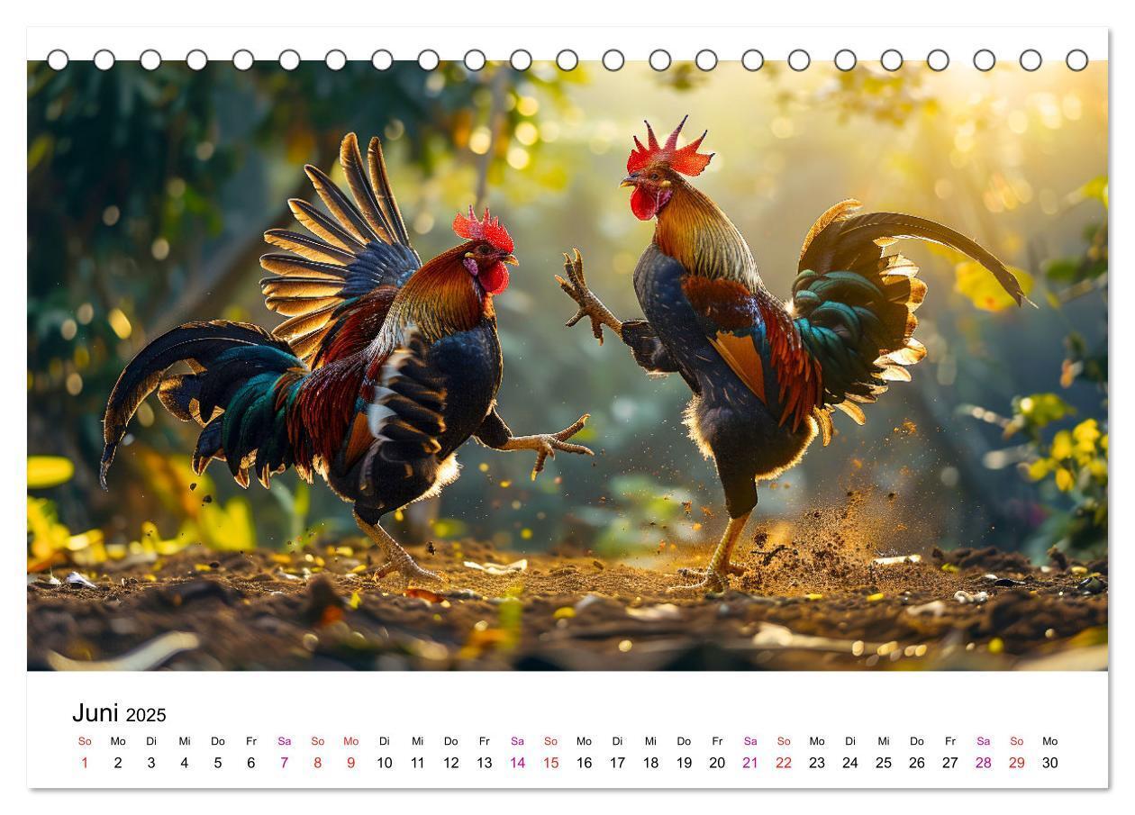 Bild: 9783457174951 | Hühner Federvieh (Tischkalender 2025 DIN A5 quer), CALVENDO...