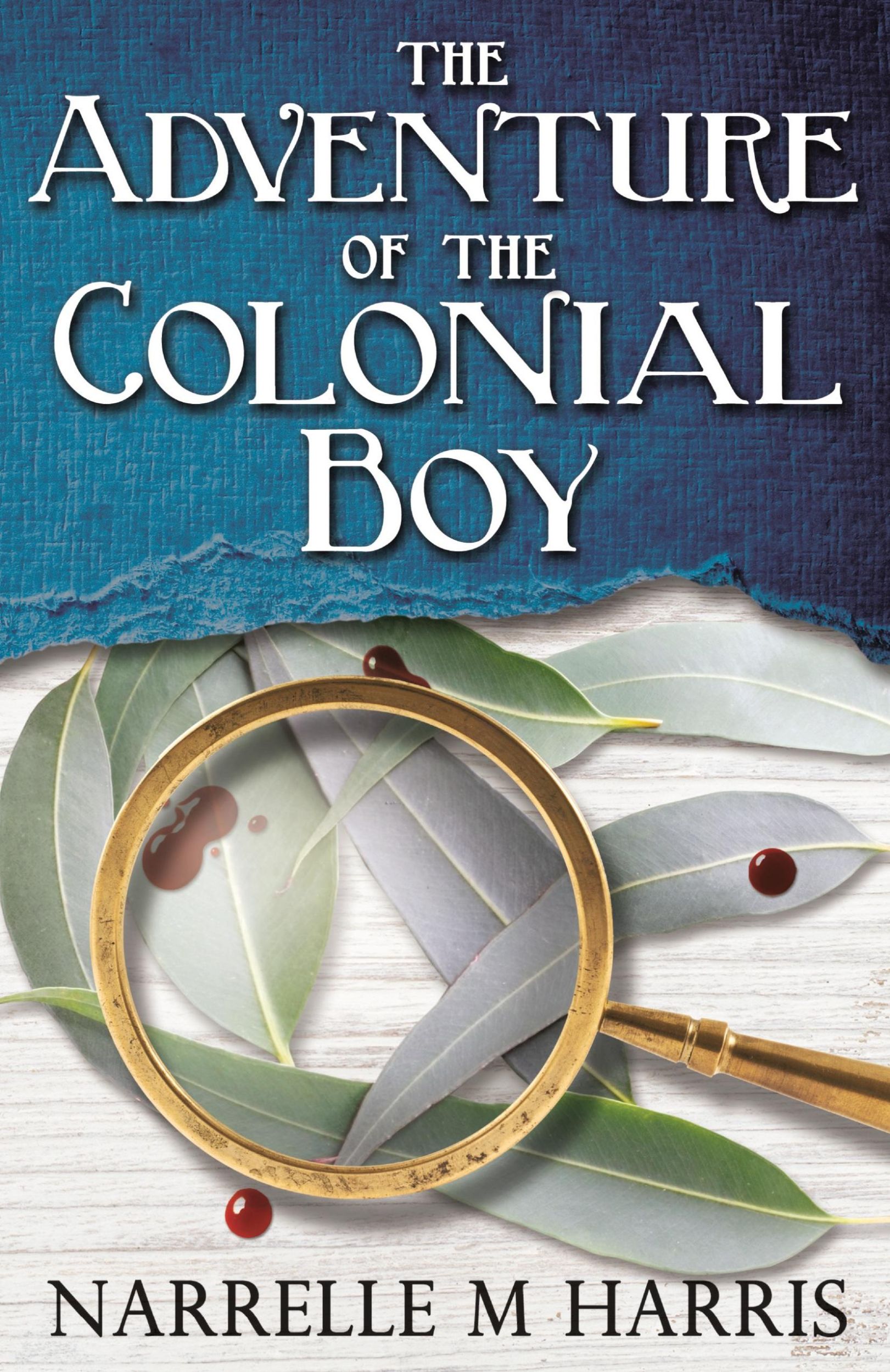 Cover: 9780993513626 | The Adventure of the Colonial Boy | Narrelle M. Harris | Taschenbuch