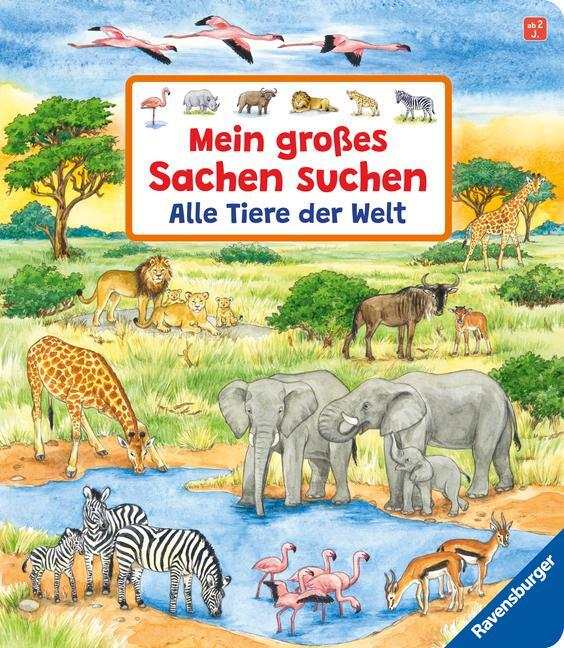 Cover: 9783473419111 | Mein großes Sachen suchen: Alle Tiere der Welt | Susanne Gernhäuser