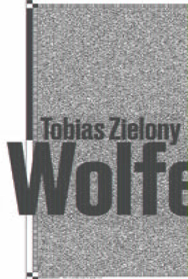 Cover: 9783959057073 | Tobias Zielony: Wolfen | Friederike Korfmacher (u. a.) | Buch | 212 S.