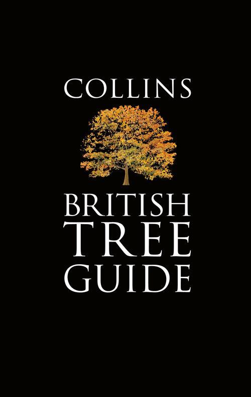 Cover: 9780007451234 | Collins British Tree Guide | Owen Johnson (u. a.) | Taschenbuch | 2015