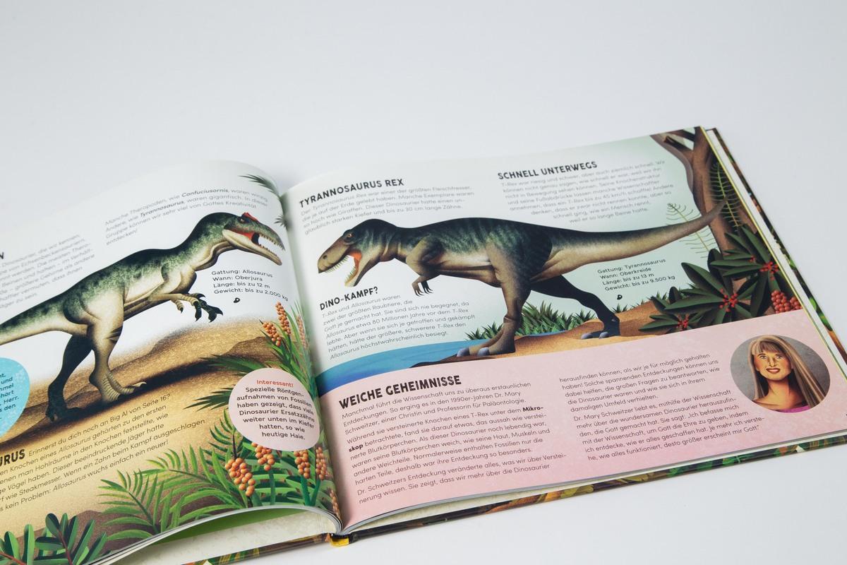 Bild: 9783417289848 | Als Gott die Dinosaurier schuf | Caroline Carroll (u. a.) | Buch