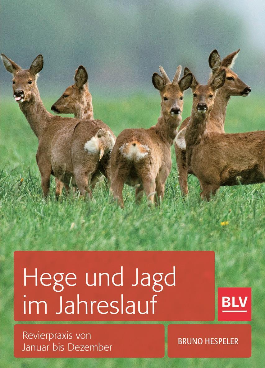 Cover: 9783835414310 | Hege und Jagd im Jahreslauf | Revierpraxis von Januar bis Dezember