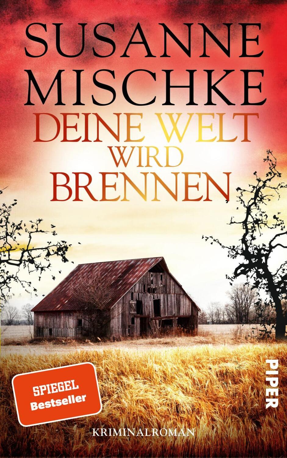 Cover: 9783492063739 | Deine Welt wird brennen | Susanne Mischke | Taschenbuch | 304 S.