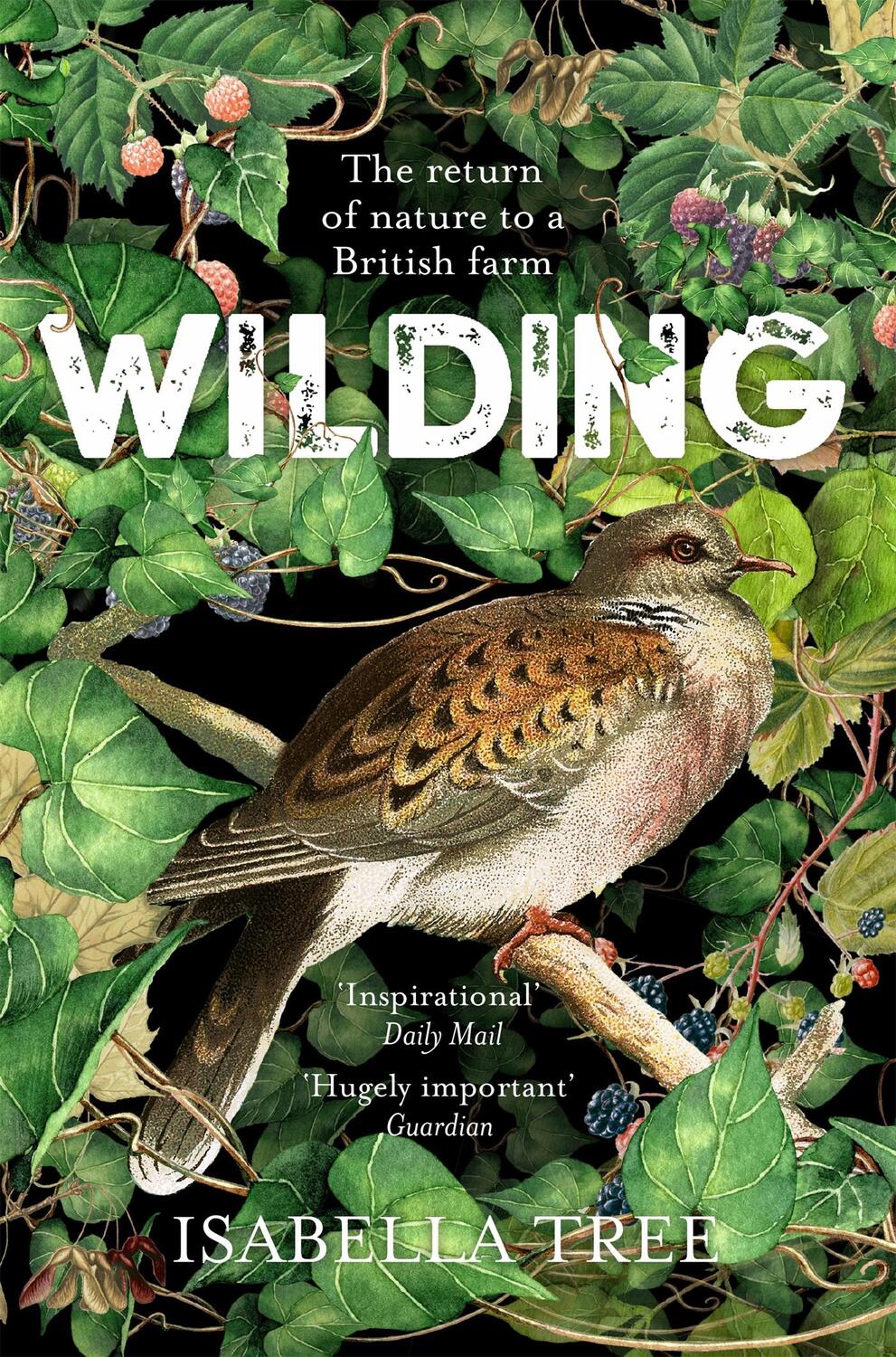 Cover: 9781509805105 | Wilding | The Return of Nature to a British Farm | Isabella Tree
