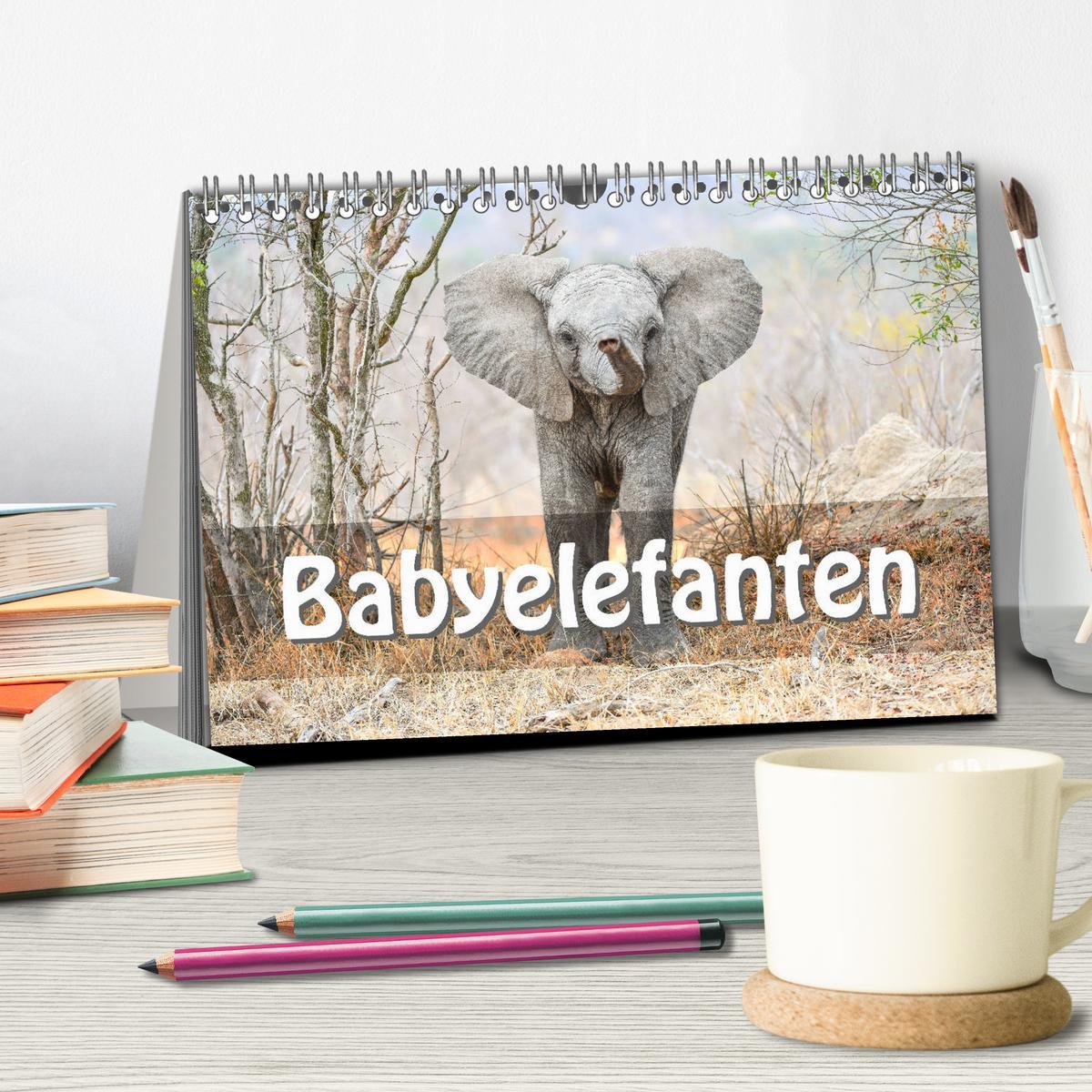 Bild: 9783435246557 | Babyelefanten (Tischkalender 2025 DIN A5 quer), CALVENDO...