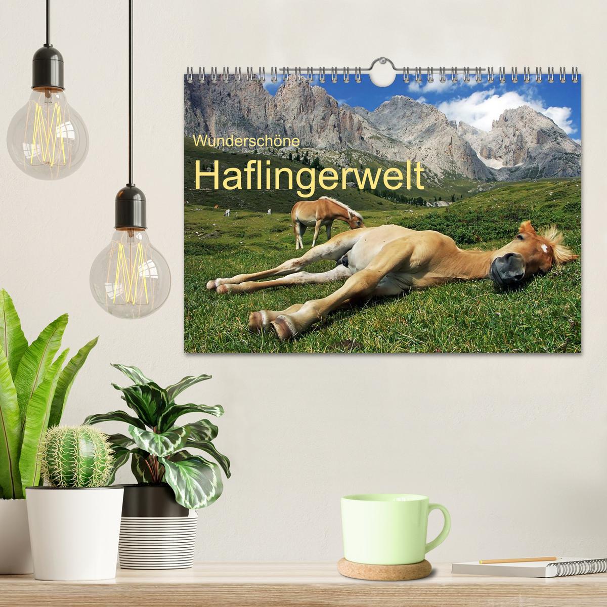 Bild: 9783435565139 | Wunderschöne Haflingerwelt (Wandkalender 2025 DIN A4 quer),...